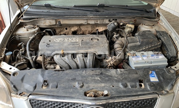 Acheter Occasion Voiture Toyota Corolla Gris à Douala, Littoral Cameroon Acheter Occasion Voiture Toyota Corolla Gris à Douala, Littoral Cameroon