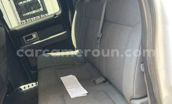 Acheter Occasion Voiture Ford F–150 Blanc à Douala, Littoral Cameroon Acheter Occasion Voiture Ford F–150 Blanc à Douala, Littoral Cameroon