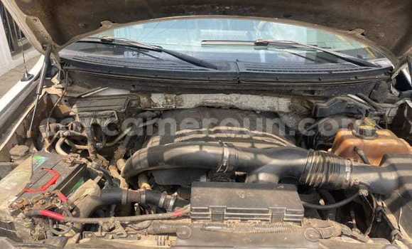 Acheter Occasion Voiture Ford F–150 Blanc à Douala, Littoral Cameroon Acheter Occasion Voiture Ford F–150 Blanc à Douala, Littoral Cameroon