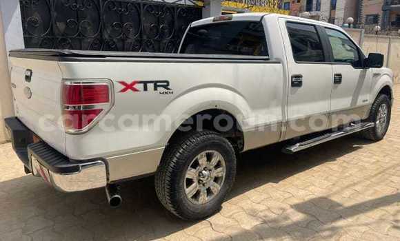 Acheter Occasion Voiture Ford F–150 Blanc à Douala, Littoral Cameroon Acheter Occasion Voiture Ford F–150 Blanc à Douala, Littoral Cameroon