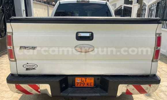 Acheter Occasion Voiture Ford F–150 Blanc à Douala, Littoral Cameroon Acheter Occasion Voiture Ford F–150 Blanc à Douala, Littoral Cameroon
