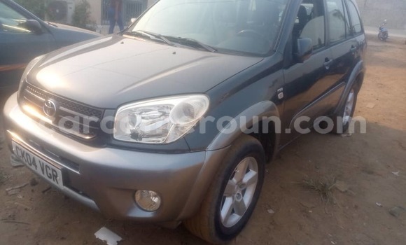 Buy Used Toyota RAV4 Other Car in Douala in Littoral Cameroon