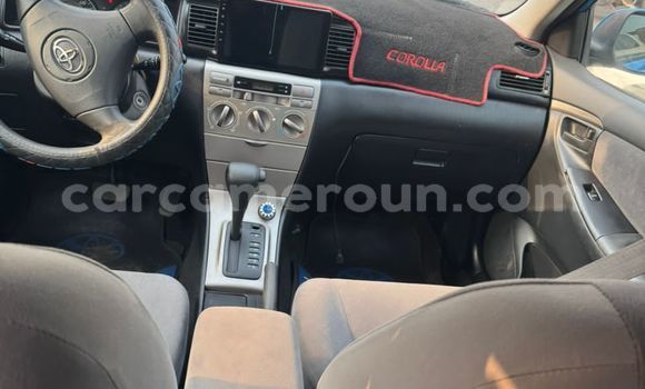 Buy Used Toyota Runx Blue Car in Douala in Littoral Cameroon Buy Used Toyota Runx Blue Car in Douala in Littoral Cameroon