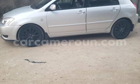 Acheter Occasion Voiture Toyota Corolla Gris à Douala, Littoral Cameroon Acheter Occasion Voiture Toyota Corolla Gris à Douala, Littoral Cameroon