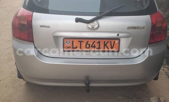 Acheter Occasion Voiture Toyota Corolla Gris à Douala, Littoral Cameroon Acheter Occasion Voiture Toyota Corolla Gris à Douala, Littoral Cameroon