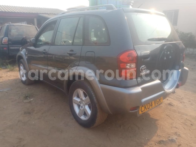 Big with watermark toyota rav4 littoral cameroon douala 18391