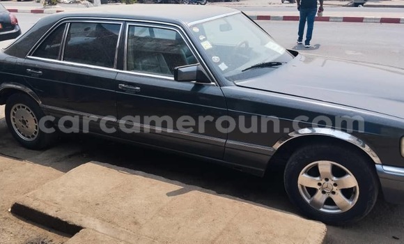 Buy Used Mercedes‒Benz 300–Series Black Car in Douala in Littoral Cameroon Buy Used Mercedes‒Benz 300–Series Black Car in Douala in Littoral Cameroon