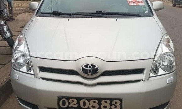 Buy Used Toyota Corolla Verso Silver Car in Douala in Littoral Cameroon
