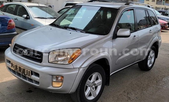 Buy Used Toyota RAV4 Silver Car in Douala in Littoral Cameroon
