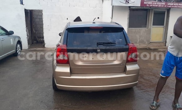 Buy Used Dodge Viper Brown Car in Douala in Littoral Cameroon Buy Used Dodge Viper Brown Car in Douala in Littoral Cameroon