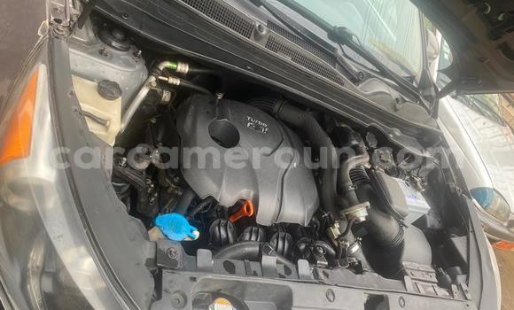 Sayi Na hannu Kia Sportage Azurfa Mota in Douala a Ƙasar Kamaru Sayi Na hannu Kia Sportage Azurfa Mota in Douala a Ƙasar Kamaru