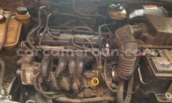 Buy Used Ford Focus Silver Car in Douala in Littoral Cameroon Buy Used Ford Focus Silver Car in Douala in Littoral Cameroon