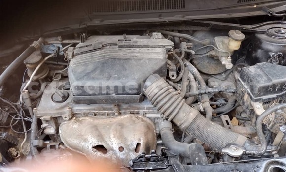 Buy New Toyota RAV4 Black Car in Douala in Littoral Cameroon Buy New Toyota RAV4 Black Car in Douala in Littoral Cameroon