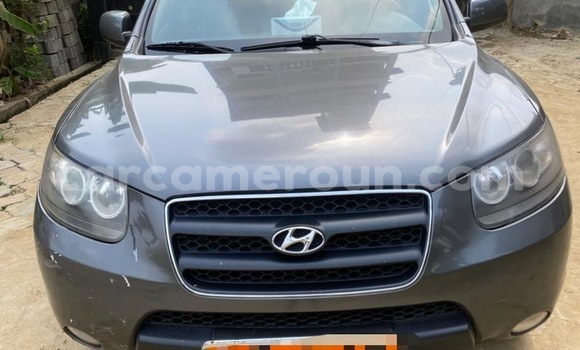Buy Used Hyundai Santa Fe Silver Car in Douala in Littoral Cameroon