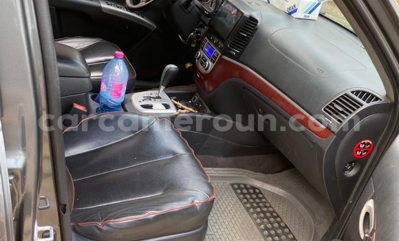 Acheter Occasion Voiture Hyundai Santa Fe Gris à Douala, Littoral Cameroon Acheter Occasion Voiture Hyundai Santa Fe Gris à Douala, Littoral Cameroon