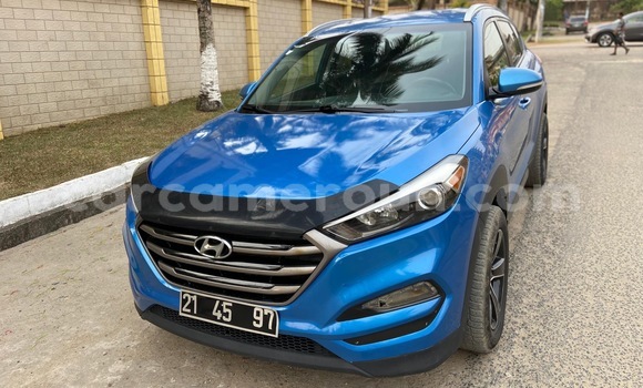 Buy Import Hyundai Tucson Blue Car in Douala in Littoral Cameroon