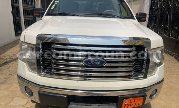 Sayi Na hannu Ford F–150 White Mota in Douala a Ƙasar Kamaru