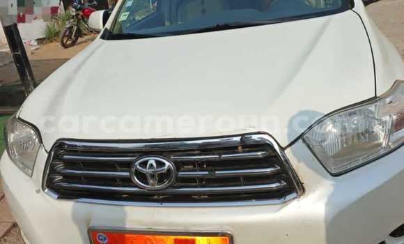 Buy Used Toyota Highlander White Car in Douala in Littoral Cameroon