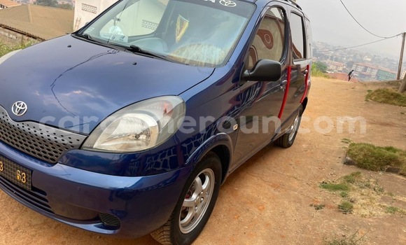 Buy Used Toyota Yaris Verso Blue Car in Yaounde in Central Cameroon Buy Used Toyota Yaris Verso Blue Car in Yaounde in Central Cameroon