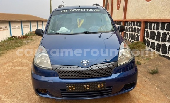Buy Used Toyota Yaris Verso Blue Car in Yaounde in Central Cameroon Buy Used Toyota Yaris Verso Blue Car in Yaounde in Central Cameroon