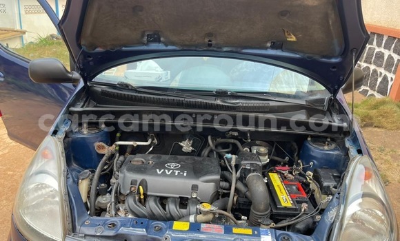 Buy Used Toyota Yaris Verso Blue Car in Yaounde in Central Cameroon Buy Used Toyota Yaris Verso Blue Car in Yaounde in Central Cameroon