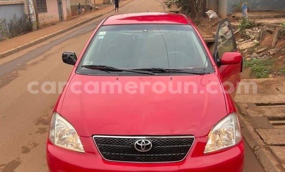 Sayi Na hannu Toyota Corolla Red Mota in Yaounde a Babban Kamaru Sayi Na hannu Toyota Corolla Red Mota in Yaounde a Babban Kamaru