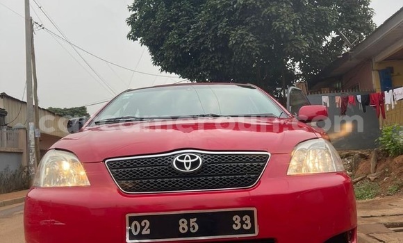 Sayi Na hannu Toyota Corolla Red Mota in Yaounde a Babban Kamaru Sayi Na hannu Toyota Corolla Red Mota in Yaounde a Babban Kamaru