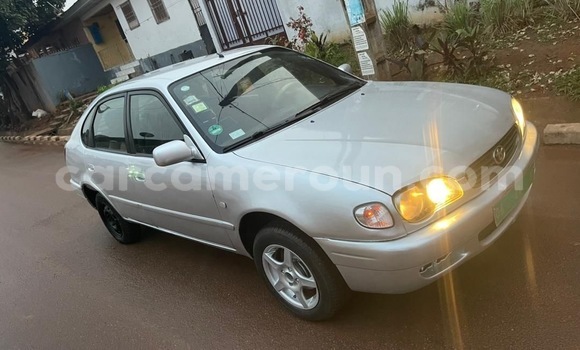 Buy Used Toyota Corolla Silver Car in Yaounde in Central Cameroon Buy Used Toyota Corolla Silver Car in Yaounde in Central Cameroon