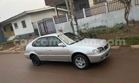 Buy Used Toyota Corolla Silver Car in Yaounde in Central Cameroon Buy Used Toyota Corolla Silver Car in Yaounde in Central Cameroon