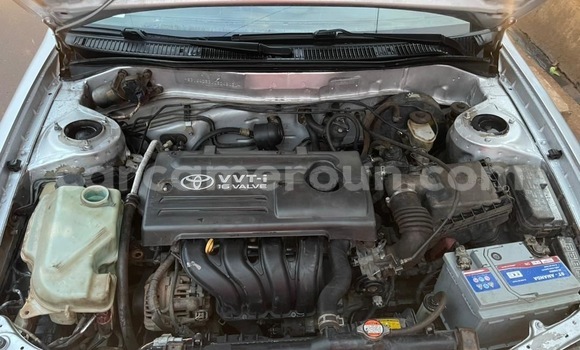 Buy Used Toyota Corolla Silver Car in Yaounde in Central Cameroon Buy Used Toyota Corolla Silver Car in Yaounde in Central Cameroon