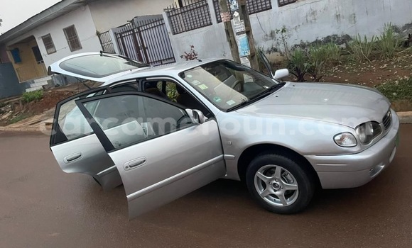Buy Used Toyota Corolla Silver Car in Yaounde in Central Cameroon Buy Used Toyota Corolla Silver Car in Yaounde in Central Cameroon
