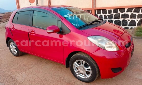 Buy Used Toyota Vitz Red Car in Yaounde in Central Cameroon Buy Used Toyota Vitz Red Car in Yaounde in Central Cameroon