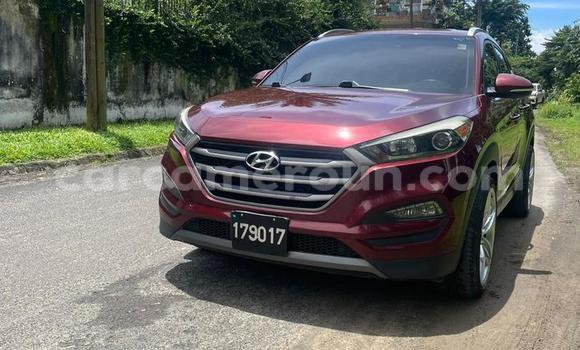 Sayi Imported Hyundai Tucson Sauran Mota in Douala a Ƙasar Kamaru
