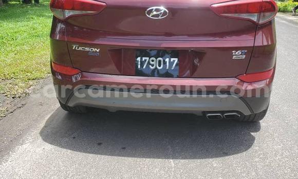 Buy Import Hyundai Tucson Other Car in Douala in Littoral Cameroon Buy Import Hyundai Tucson Other Car in Douala in Littoral Cameroon
