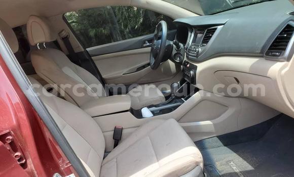 Buy Import Hyundai Tucson Other Car in Douala in Littoral Cameroon Buy Import Hyundai Tucson Other Car in Douala in Littoral Cameroon