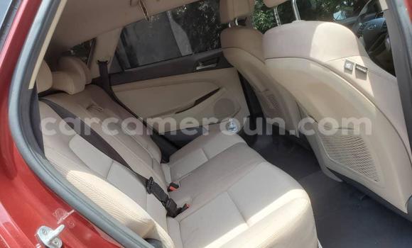 Buy Import Hyundai Tucson Other Car in Douala in Littoral Cameroon Buy Import Hyundai Tucson Other Car in Douala in Littoral Cameroon