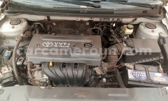 Buy Used Toyota Corolla Silver Car in Douala in Littoral Cameroon Buy Used Toyota Corolla Silver Car in Douala in Littoral Cameroon