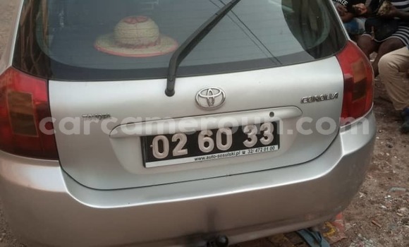 Buy Used Toyota Corolla Silver Car in Douala in Littoral Cameroon Buy Used Toyota Corolla Silver Car in Douala in Littoral Cameroon