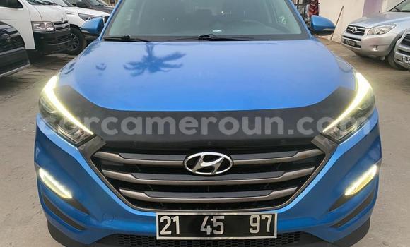 Sayi Na hannu Hyundai Tucson Blue Mota in Douala a Ƙasar Kamaru