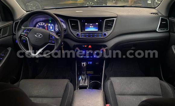Acheter Occasion Voiture Hyundai Tucson Bleu à Douala, Littoral Cameroon Acheter Occasion Voiture Hyundai Tucson Bleu à Douala, Littoral Cameroon