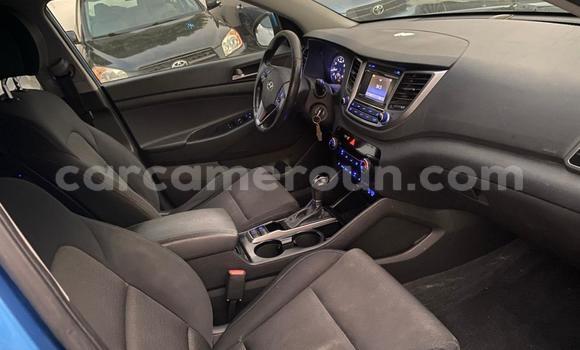 Acheter Occasion Voiture Hyundai Tucson Bleu à Douala, Littoral Cameroon Acheter Occasion Voiture Hyundai Tucson Bleu à Douala, Littoral Cameroon