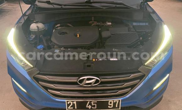 Acheter Occasion Voiture Hyundai Tucson Bleu à Douala, Littoral Cameroon Acheter Occasion Voiture Hyundai Tucson Bleu à Douala, Littoral Cameroon