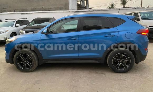 Acheter Occasion Voiture Hyundai Tucson Bleu à Douala, Littoral Cameroon Acheter Occasion Voiture Hyundai Tucson Bleu à Douala, Littoral Cameroon