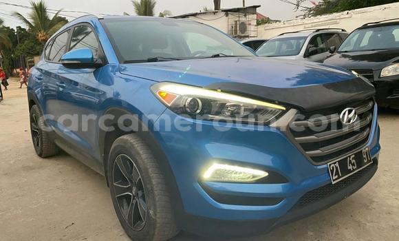 Acheter Occasion Voiture Hyundai Tucson Bleu à Douala, Littoral Cameroon Acheter Occasion Voiture Hyundai Tucson Bleu à Douala, Littoral Cameroon