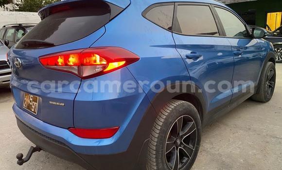 Acheter Occasion Voiture Hyundai Tucson Bleu à Douala, Littoral Cameroon Acheter Occasion Voiture Hyundai Tucson Bleu à Douala, Littoral Cameroon