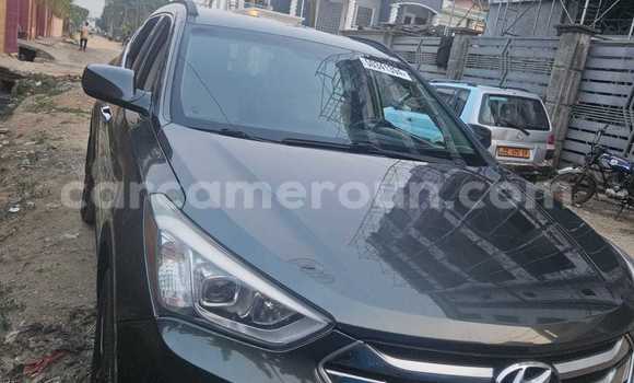 Buy Used Hyundai Santa Fe Black Car in Douala in Littoral Cameroon