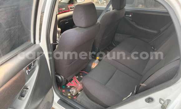 Buy Used Toyota Runx White Car in Douala in Littoral Cameroon Buy Used Toyota Runx White Car in Douala in Littoral Cameroon