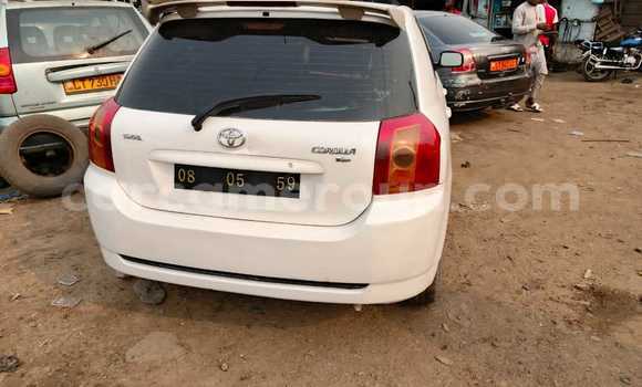 Buy Used Toyota Runx White Car in Douala in Littoral Cameroon Buy Used Toyota Runx White Car in Douala in Littoral Cameroon