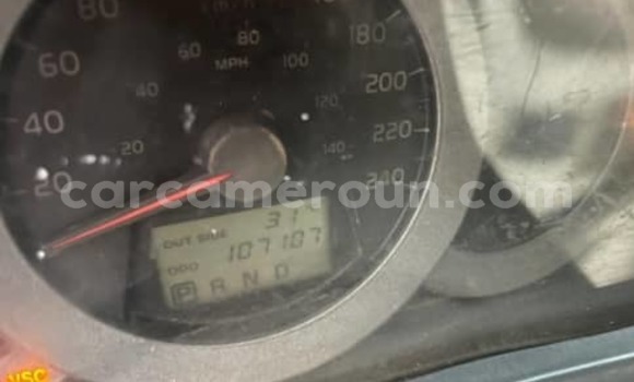 Sayi Na hannu Suzuki Grand Vitara Azurfa Mota in Douala a Ƙasar Kamaru Sayi Na hannu Suzuki Grand Vitara Azurfa Mota in Douala a Ƙasar Kamaru