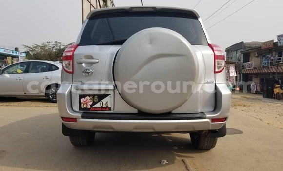 Acheter Import Voiture Toyota RAV4 Gris à Douala, Littoral Cameroon